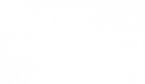 Better Homes and Gardens Real Estate